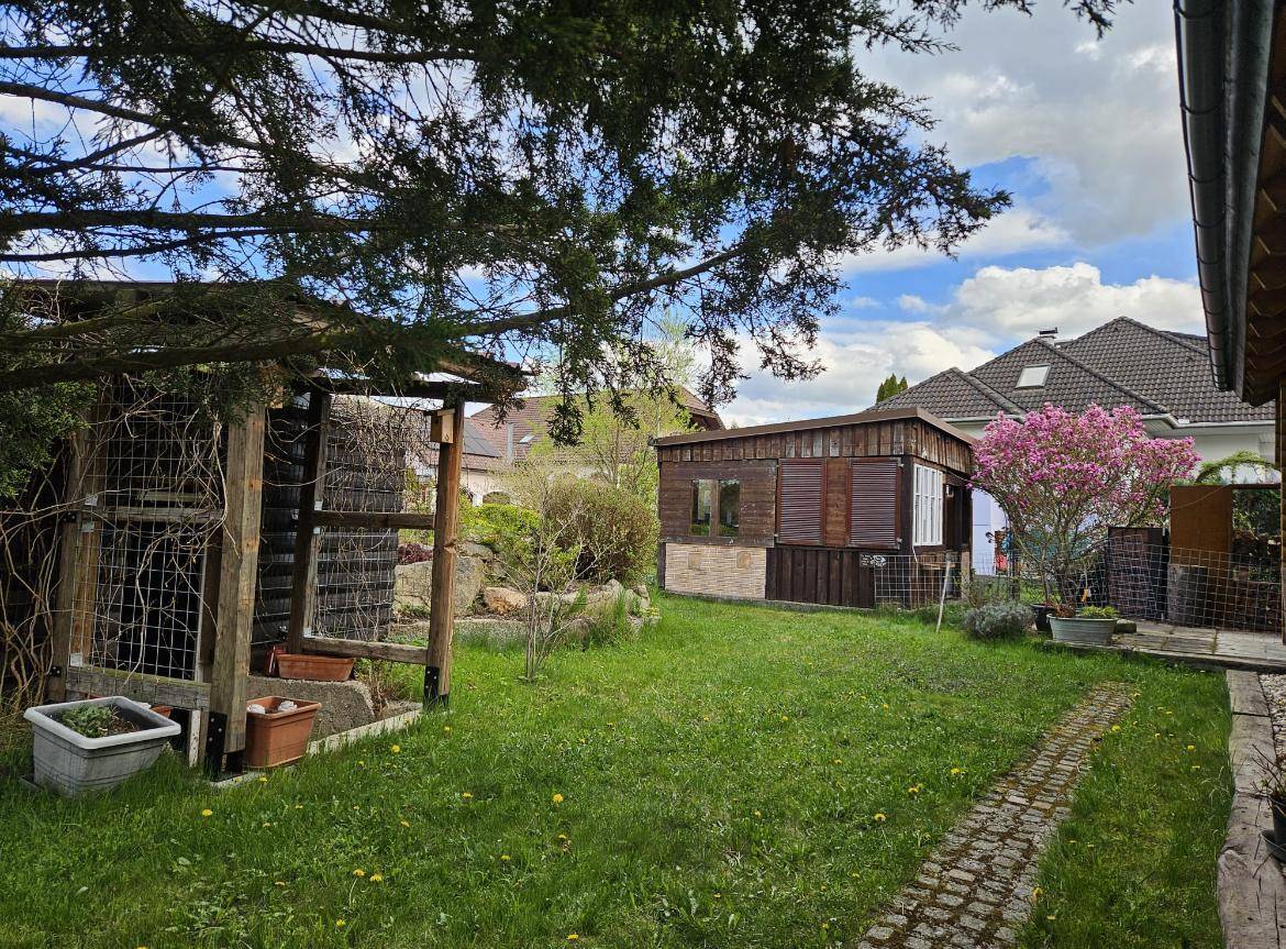 Gartenbereich mit Rasenfläche, einem kleinen Schuppen und verschiedenen Pflanzen unter bewölktem Himmel.