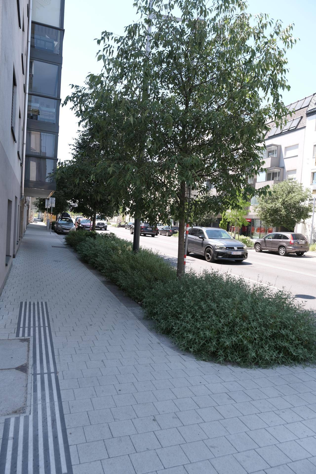 Ruhige Wohnstraße mit Bäumen, Bürgersteig und parkenden Autos an einem sonnigen Tag.