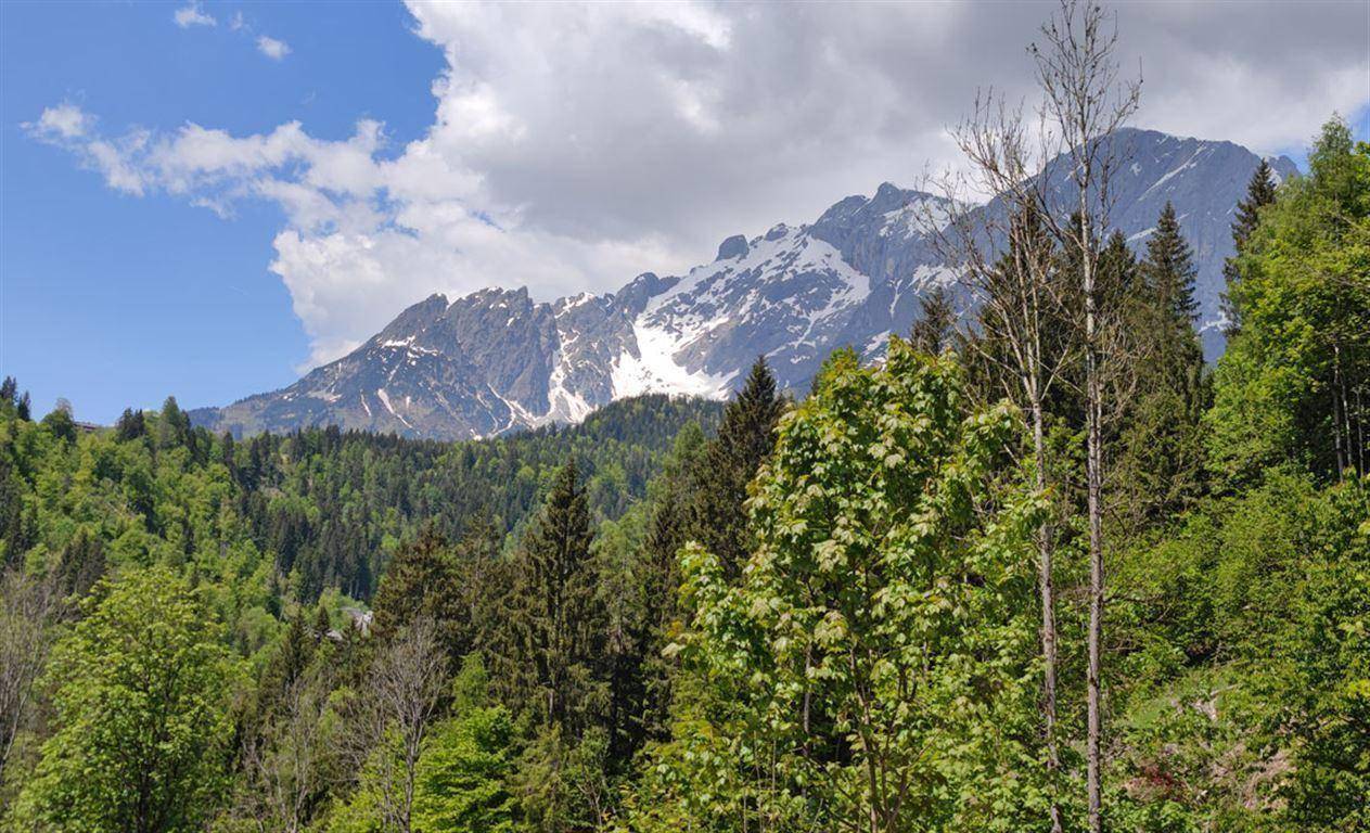 Malerischer Ausblick auf schneebedeckte Berggipfel und dichte grüne Wälder unter blauem Himmel.