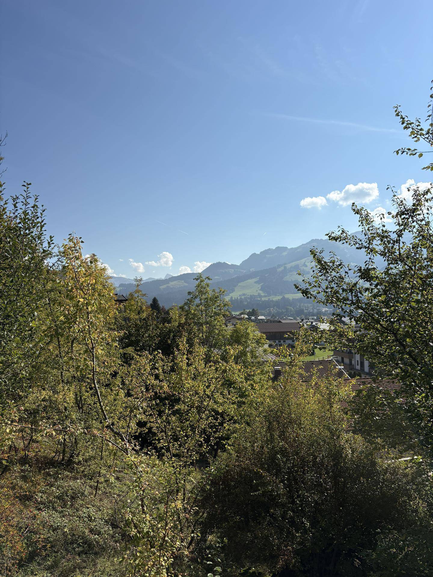 Exklusive Lage am Sonnberg – Sonniges Grundstück mit Bebauungsplan - Mehr