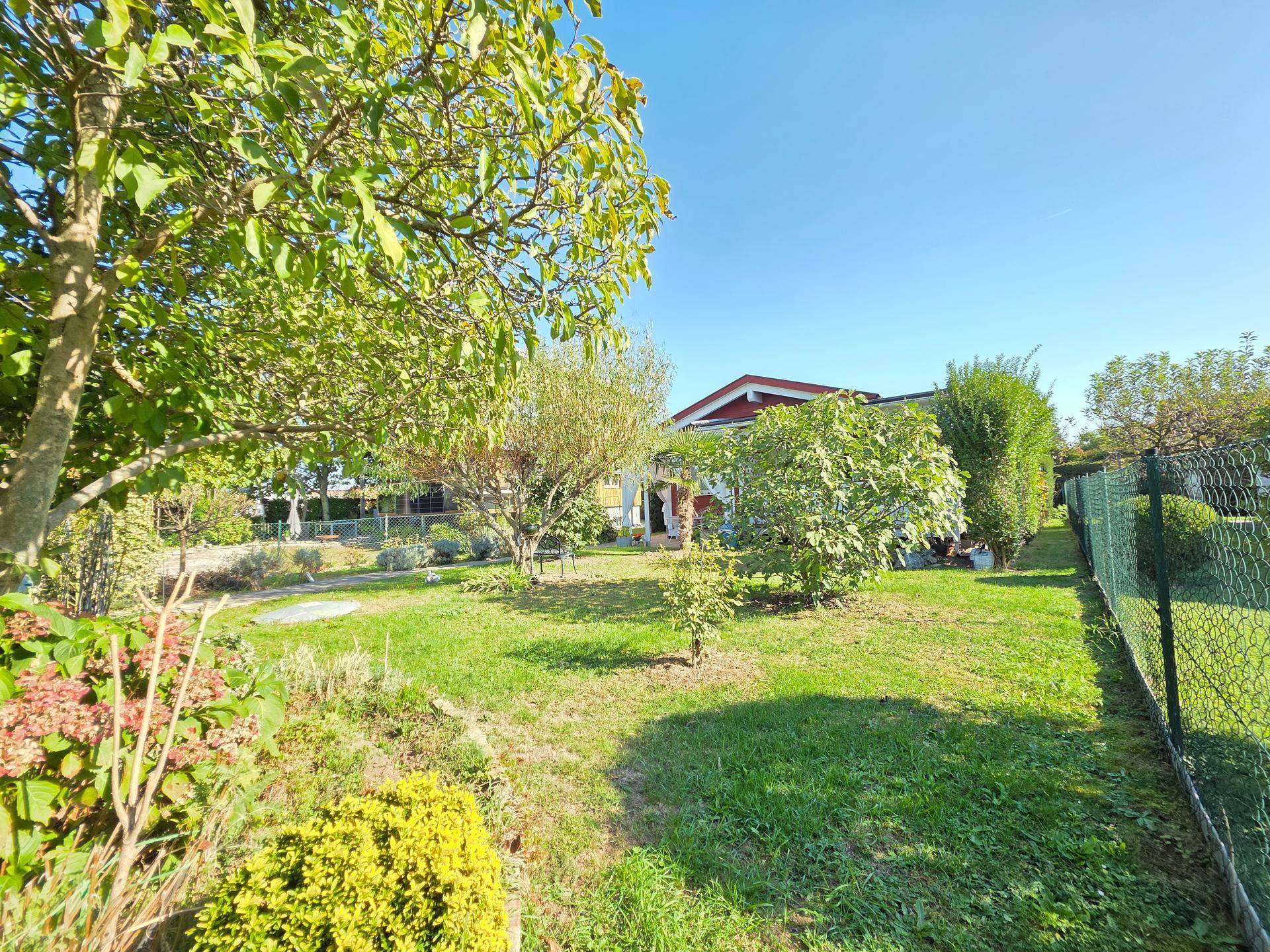Großer, sonniger Garten mit verschiedenen Bäumen und Sträuchern, umzäunt.