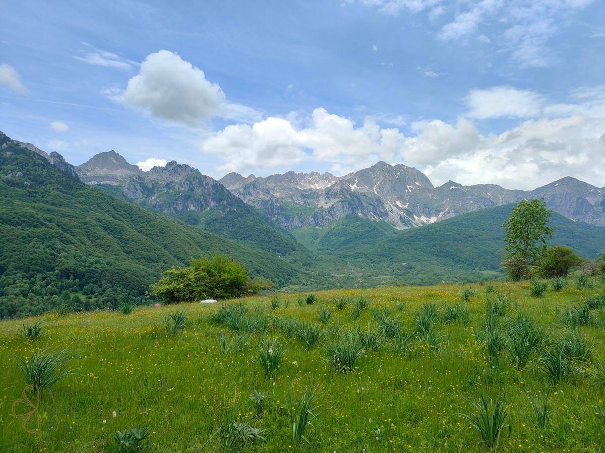 IMG20230605123251