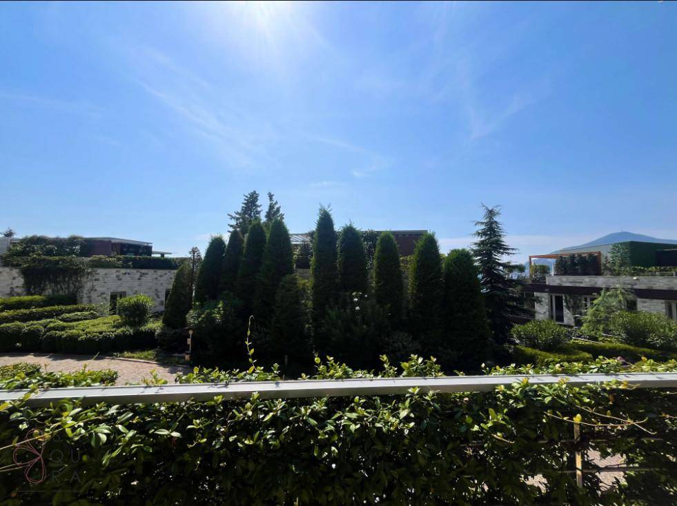 Weitläufiger Blick von einem Balkon auf eine gepflegte Grünanlage mit hohen Bäumen unter blauem Himmel.