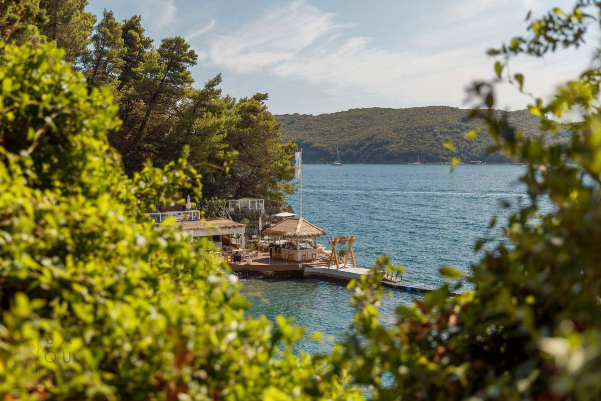 Kleiner Steg mit einer überdachten Struktur am Wasser, umgeben von Bäumen und Meerblick.