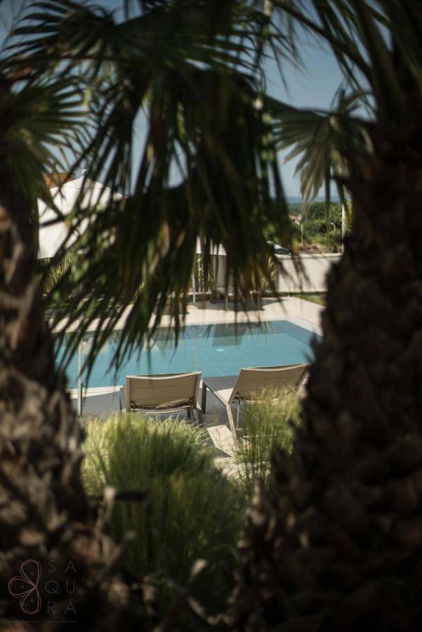 Blick durch Palmen auf den Poolbereich mit Liegestühlen und blauem Himmel.