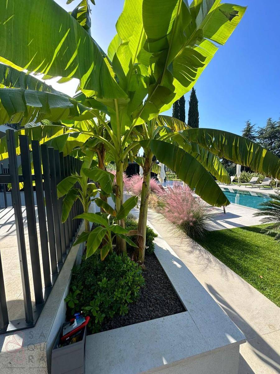 Exotischer Gartenbereich mit Bananenstauden und Ziergräsern, angrenzend an einen Poolbereich.