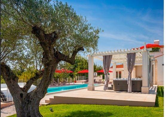 Entspannender Poolbereich mit Whirlpool unter einer Pergola und einem alten Olivenbaum im Vordergrund.