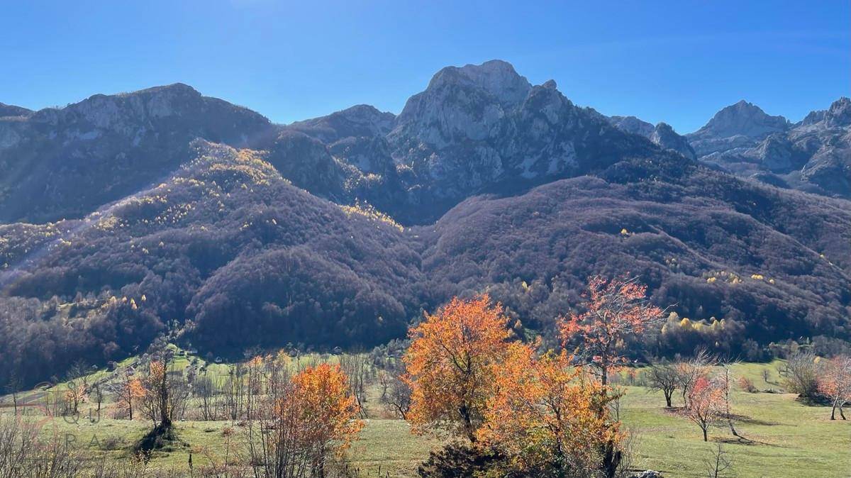 Atemberaubende Berglandschaft mit herbstlichen Bäumen unter klarem blauem Himmel.