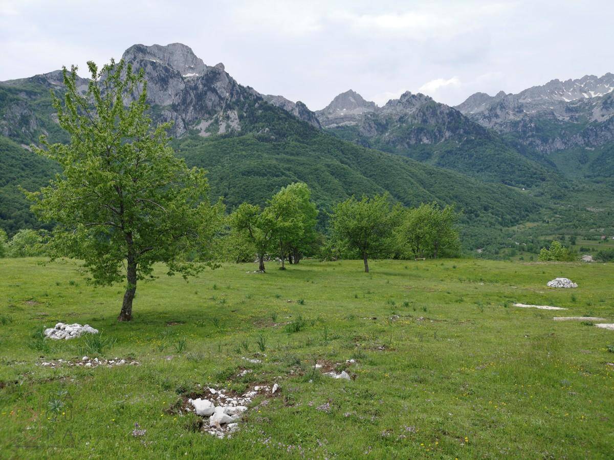Grüne Wiesen und Bäume vor einer beeindruckenden Bergkette unter bewölktem Himmel.