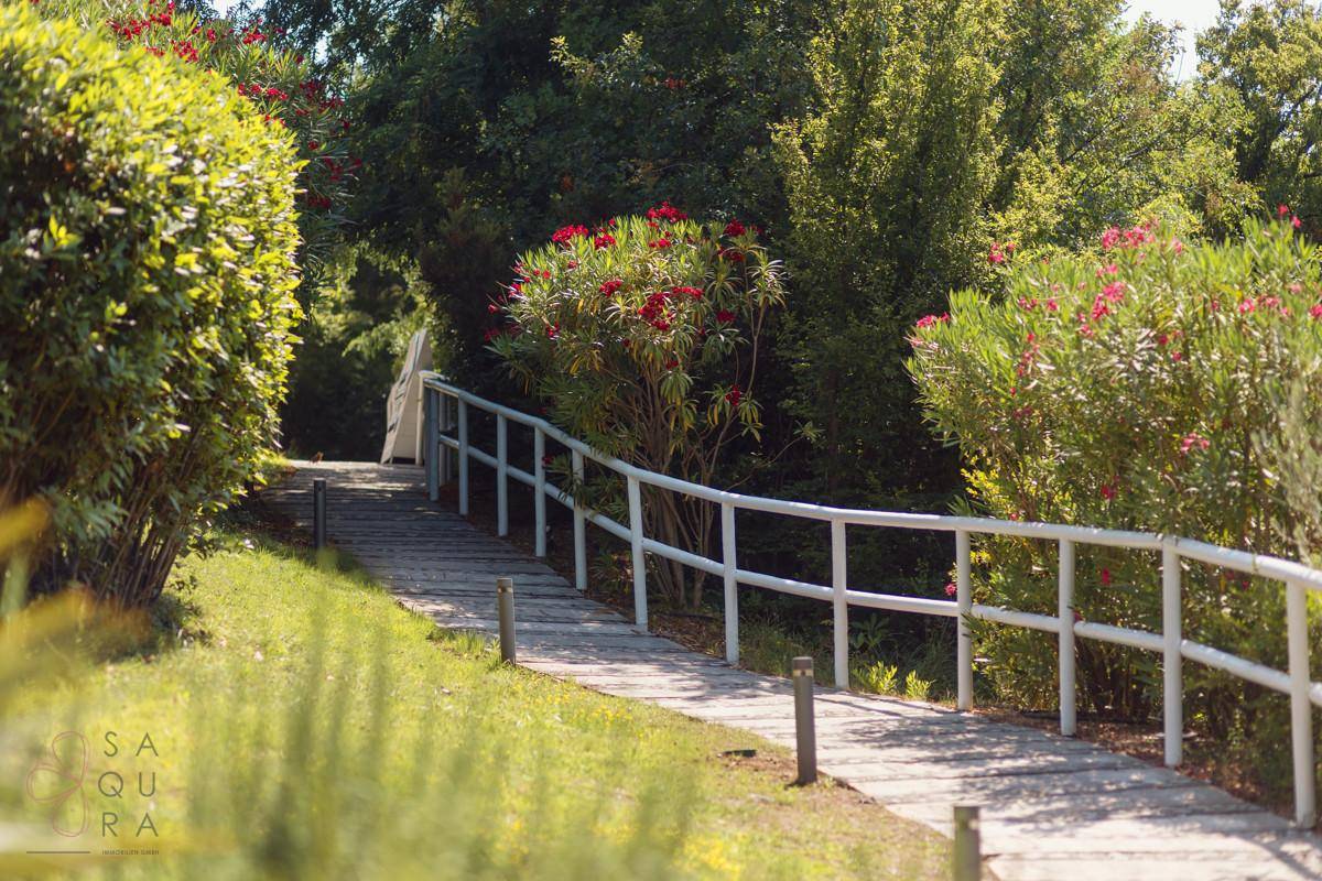 Ein Holzweg mit weißem Geländer führt durch blühende Sträucher und grüne Vegetation.