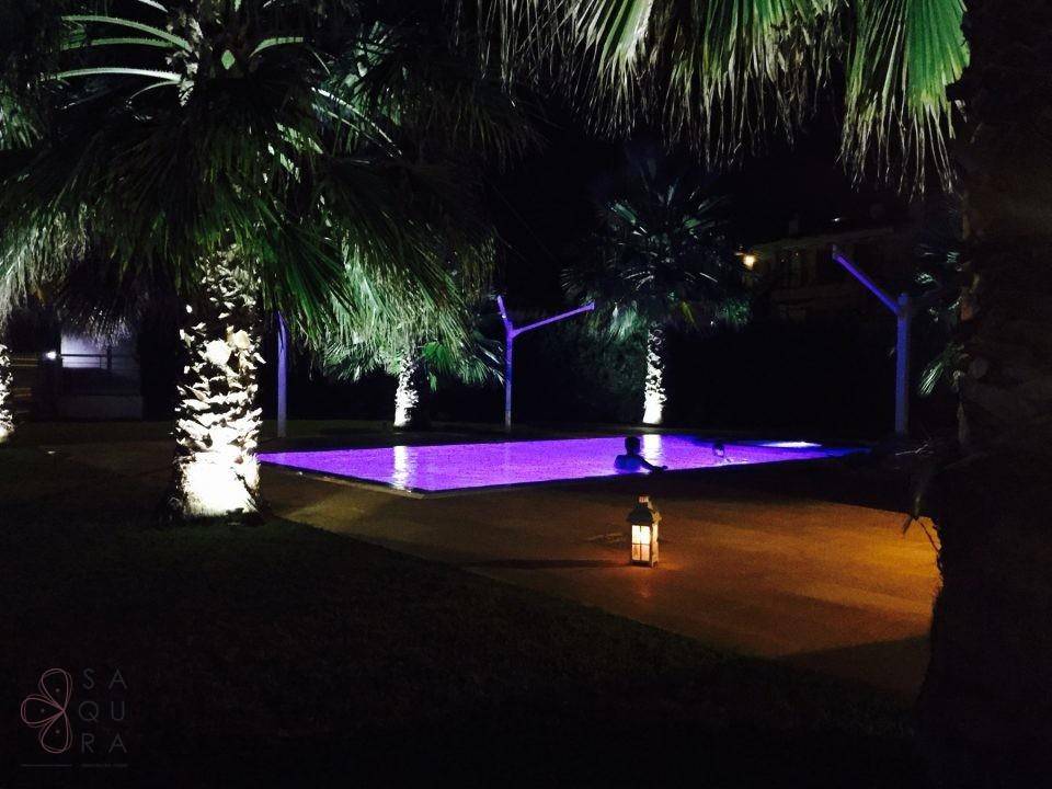 Beleuchteter Poolbereich bei Nacht mit Palmen und stimmungsvoller lila Poolbeleuchtung.