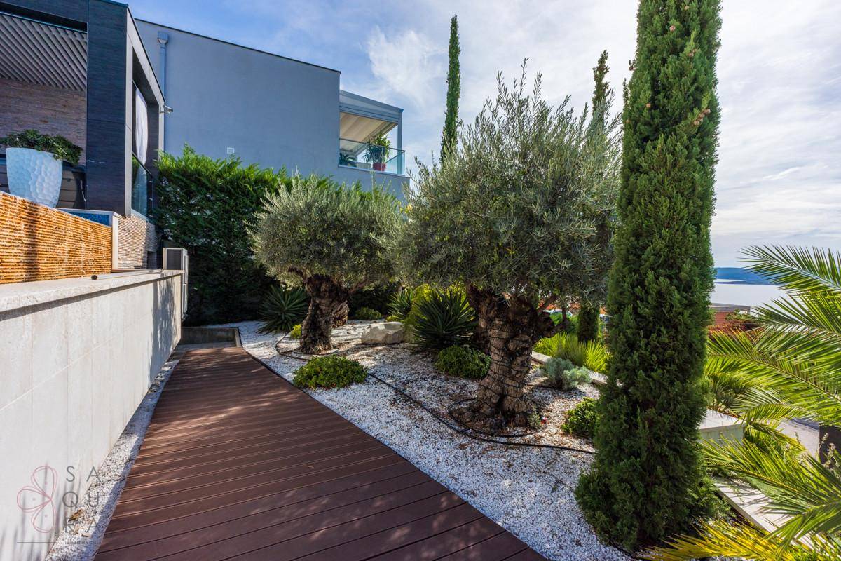 Mediterraner Gartenweg mit Olivenbäumen, Zypressen und weißem Kies.