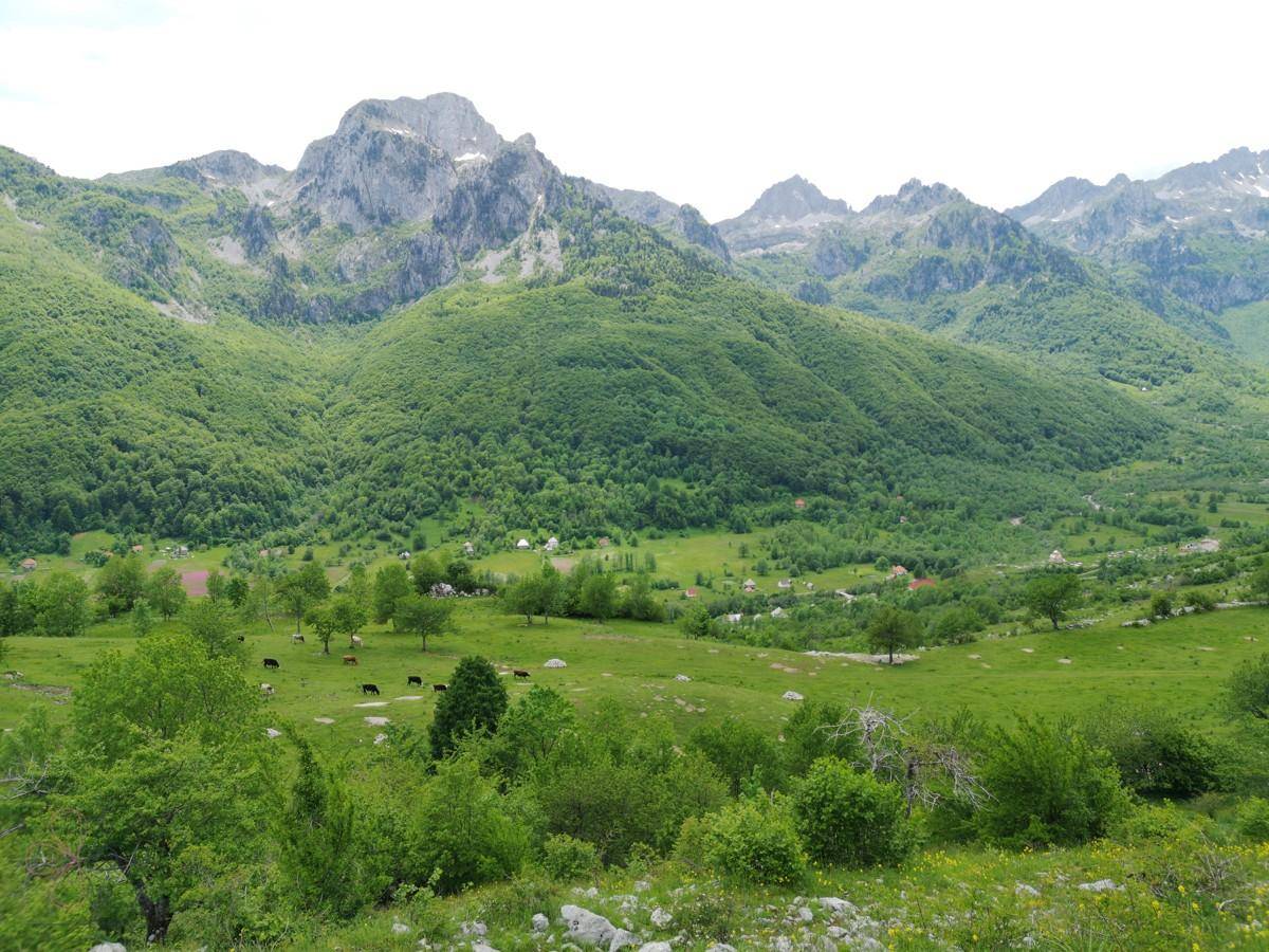 Weitläufige grüne Berglandschaft mit bewaldeten Hängen, einem Tal und vereinzelten Häusern.