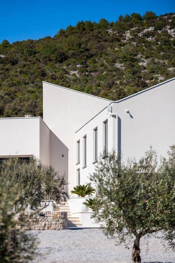 Moderne Architektur der Villa mit weißen Fassaden, umgeben von Olivenbäumen und mediterraner Landschaft.