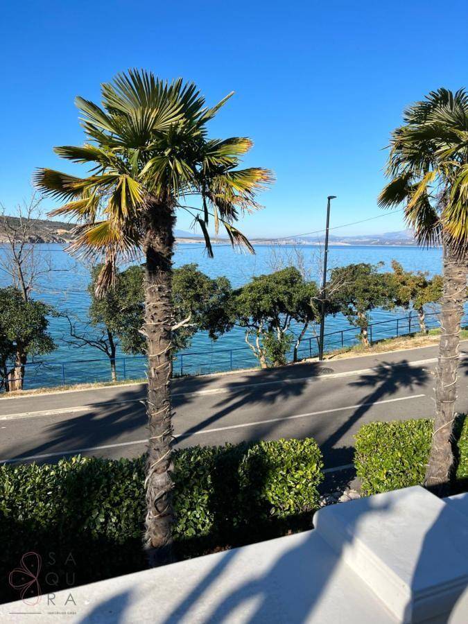 Sonniger Ausblick vom Balkon auf das blaue Meer, die Straße und Palmen.