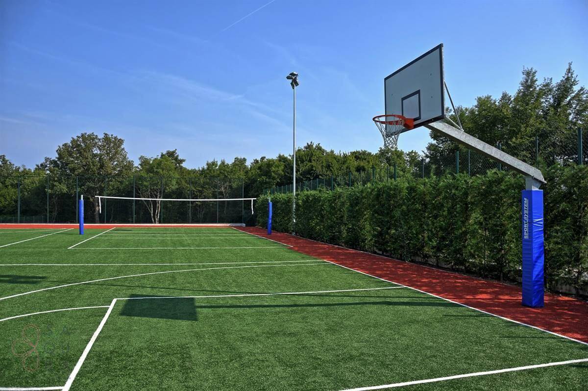 Sportplatz mit Basketballkorb und Volleyballnetz, umgeben von einer Hecke und Bäumen.