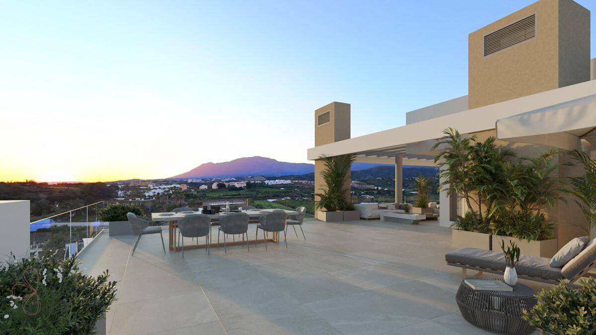 MRQemterrazaaticob