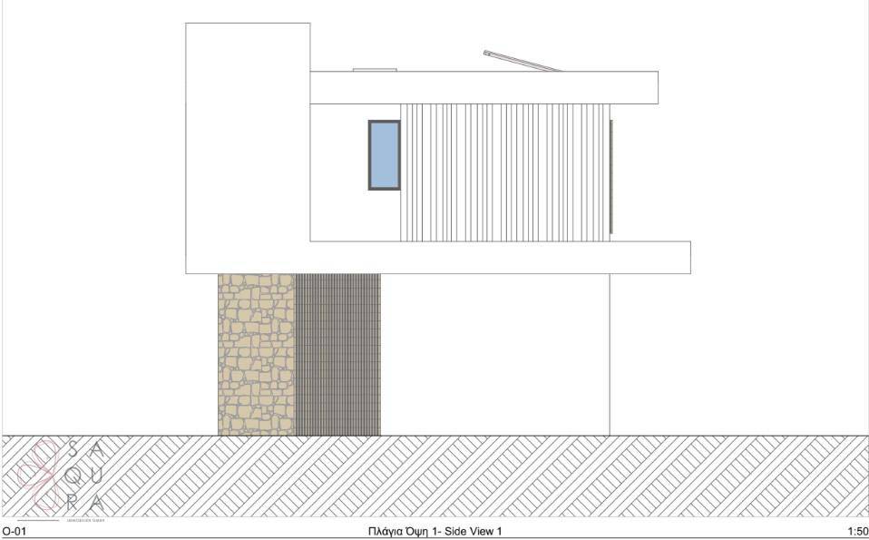 Seitenansicht der modernen Villa mit Steinverkleidung an der Fassade.