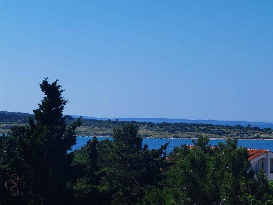 Malerischer Ausblick auf das blaue Meer und die grüne Küstenlandschaft durch Bäume.