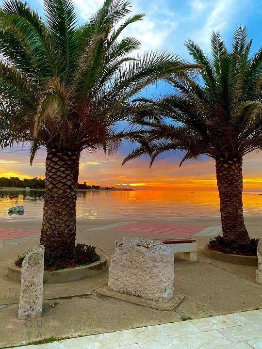Atemberaubender Sonnenuntergang über dem Meer mit Palmen im Vordergrund und leuchtenden Farben am Himmel.