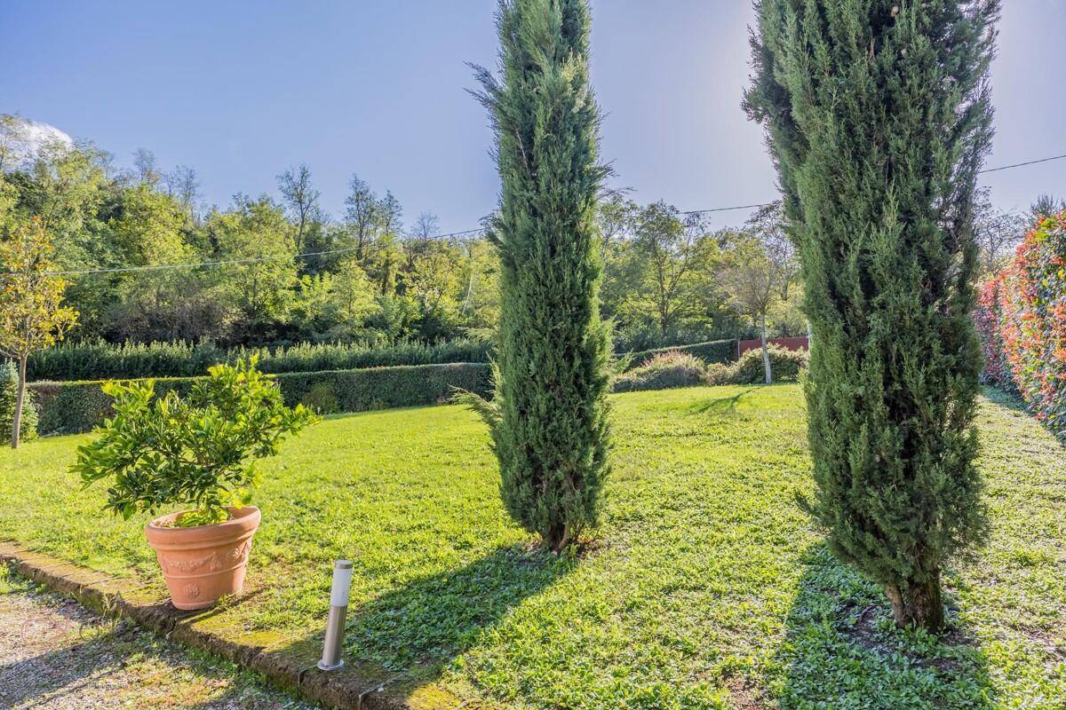 Gepflegter Gartenbereich mit hohen Zypressen und einem Zitronenbaum in einem Terrakottatopf.