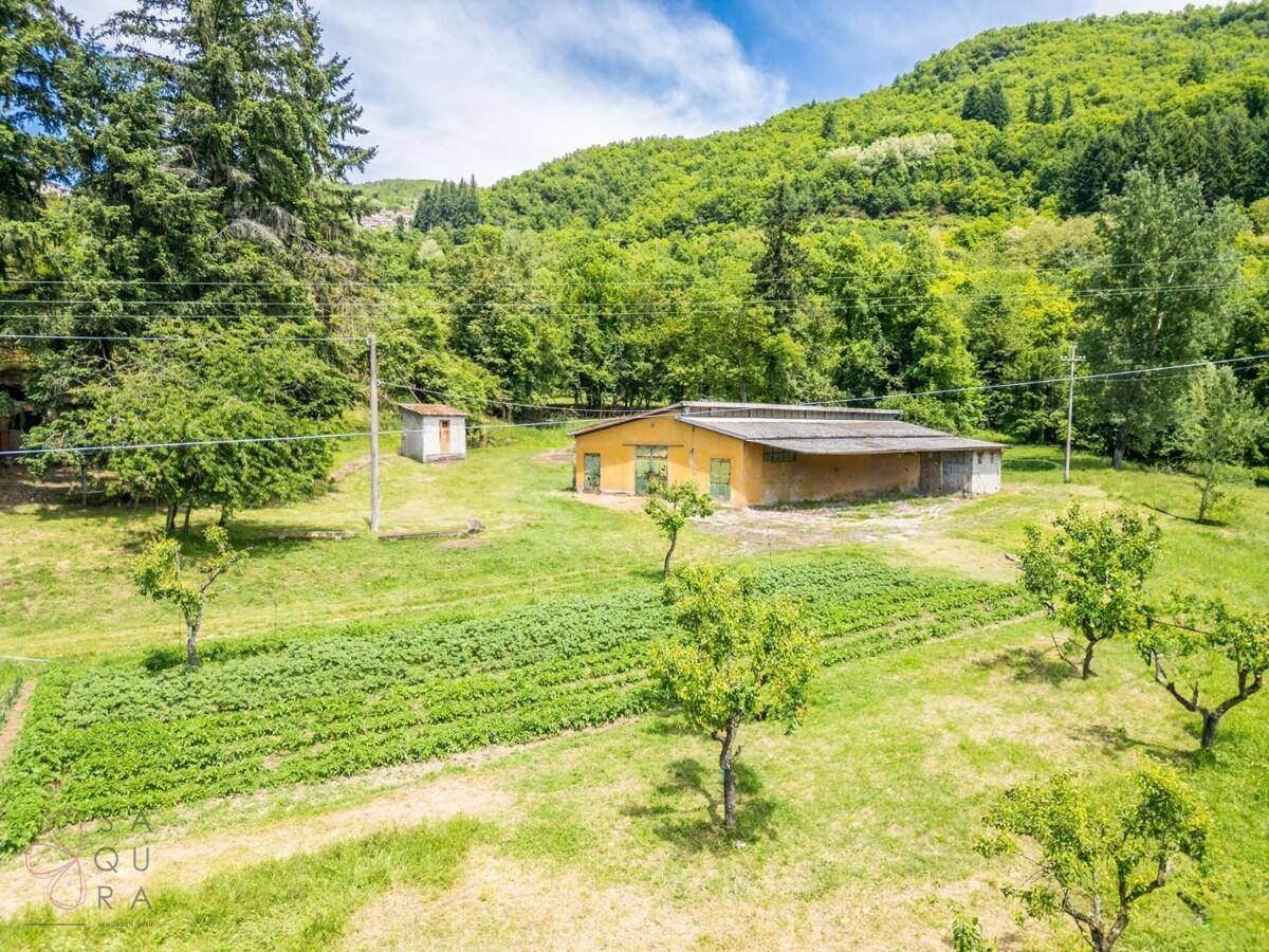 Luftaufnahme eines landwirtschaftlichen Bereichs mit Obstbäumen und angelegten Gemüsebeeten.