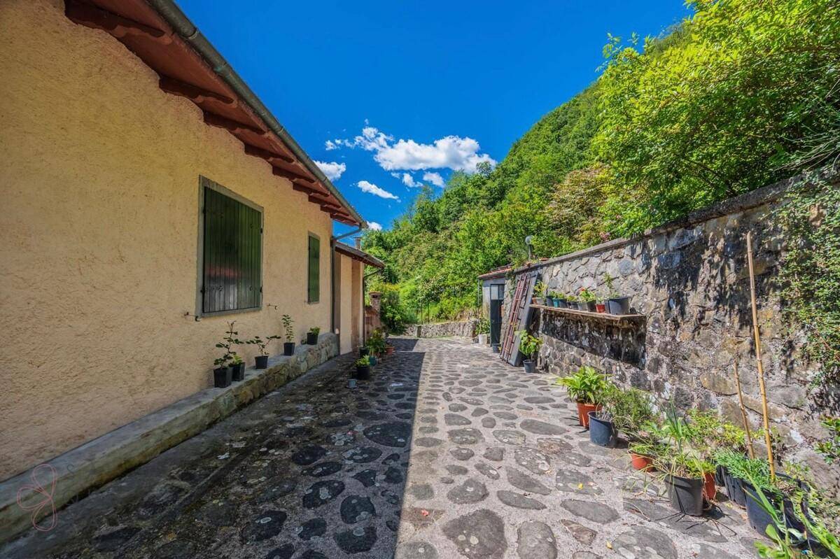 Ein gepflasterter Weg führt entlang des Hauses mit Topfpflanzen und einer Steinmauer.