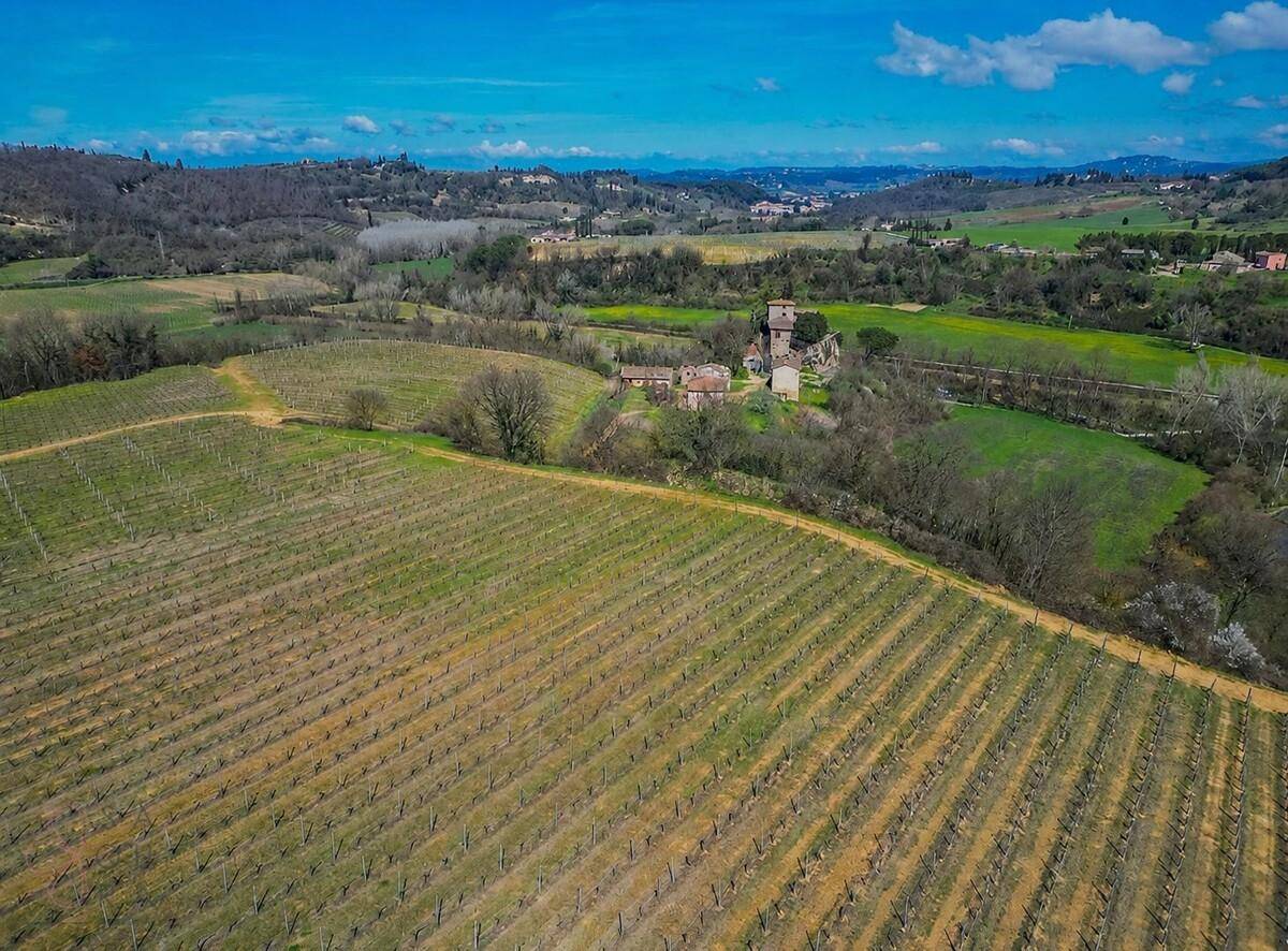 Weitläufige Landschaft mit Weinbergen und historischen Gebäuden unter einem klaren blauen Himmel.