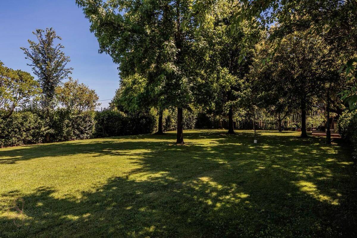 Weitläufige Rasenfläche mit Schatten spendenden Bäumen, ideal für Entspannung im Freien.