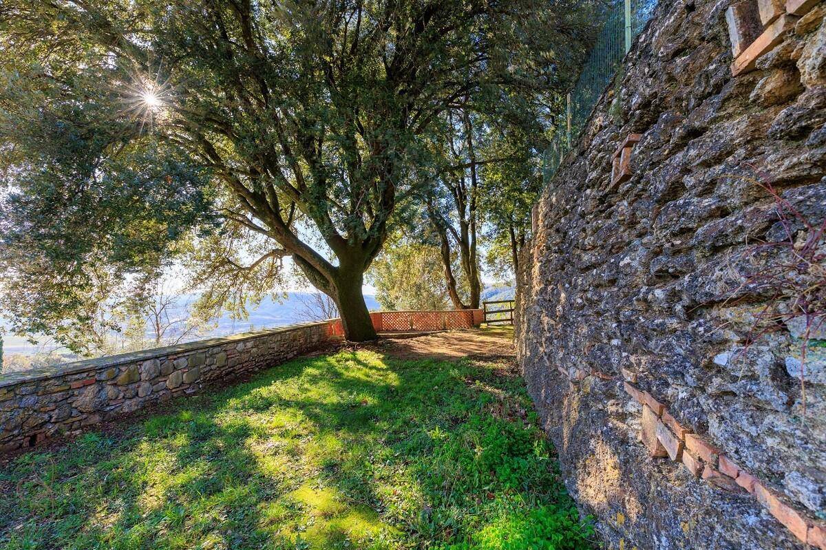 Sonniger Gartenbereich mit alter Steinmauer und schattenspendenden Bäumen, ideal zum Entspannen.