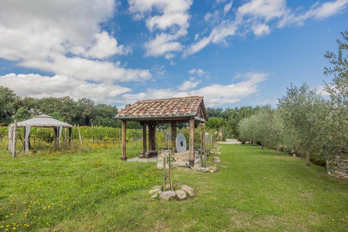Grüner Gartenbereich mit rustikalem Holzpavillon und angrenzendem Weinberg unter blauem Himmel.