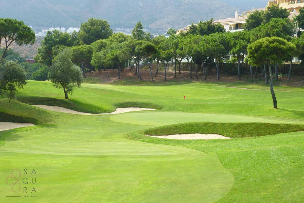 Detailansicht eines gepflegten Golfplatzes mit Sandbunkern und grünen Bäumen im Hintergrund.