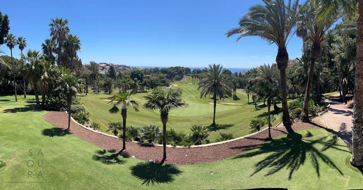 Grüner Golfplatz umgeben von Palmen und üppiger Vegetation mit Blick auf das ferne Meer.