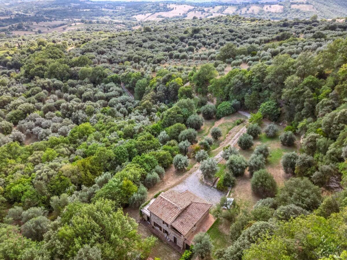 Luftaufnahme eines Landhauses umgeben von weitläufigen Olivenhainen und grünen Hügeln.