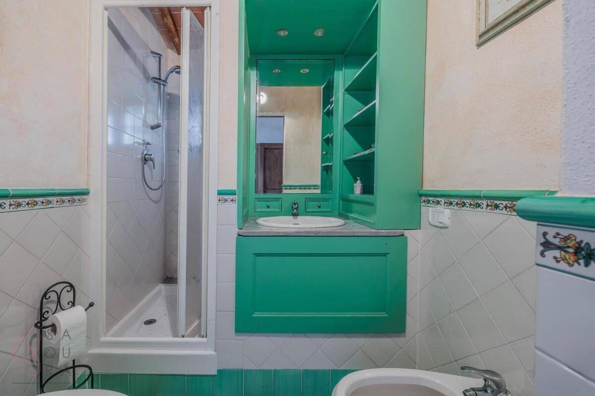 Badezimmer mit grünen Akzenten, Dusche, Waschbecken und Spiegel, in traditionellem Stil.