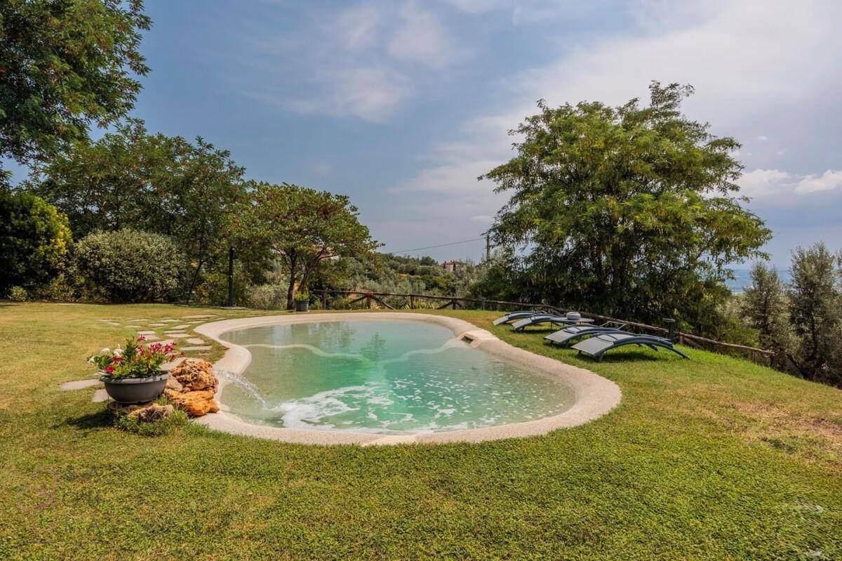 Organisch geformter Pool im Garten mit Liegestühlen und Panoramablick auf die umliegende Landschaft.