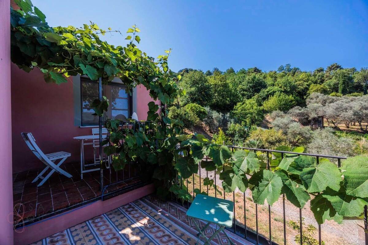 Kleiner Balkon mit schmiedeeisernem Geländer und Weinreben, bietet einen schönen Blick ins Grüne.