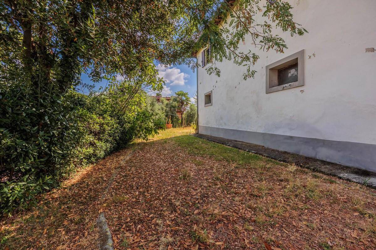Schmaler Gartenbereich entlang der Hauswand mit viel Grün und Laub auf dem Boden.