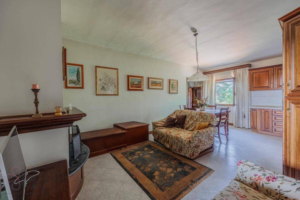 Wohnbereich mit Sofa, Teppich und angrenzender Küche im traditionellen Stil.
