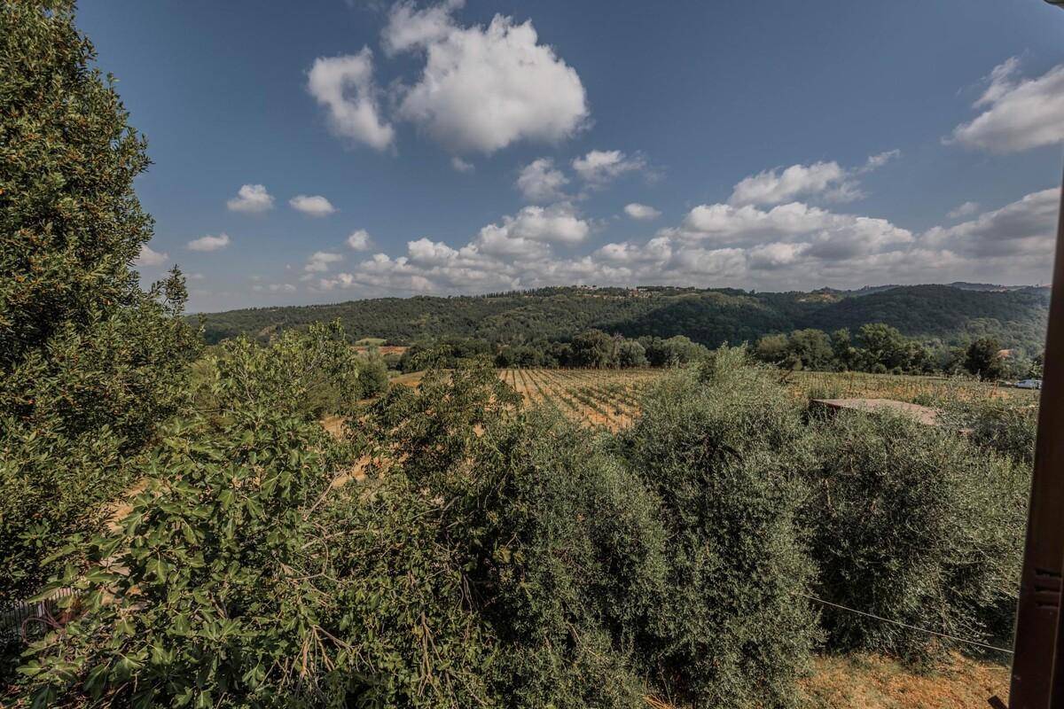 Malerischer Blick auf die hügelige Landschaft mit Weinbergen und üppiger Vegetation.