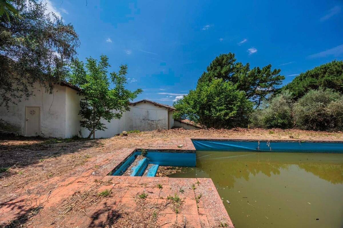 Außenbereich mit einem vernachlässigten Pool und einem angrenzenden Gebäude unter blauem Himmel.