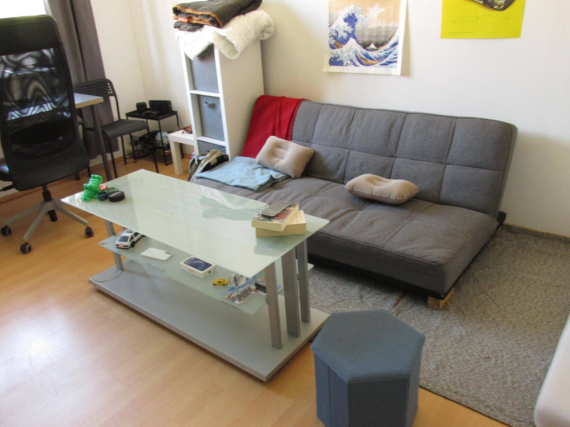 Gemütliches Schlafsofa mit Couchtisch und Teppich im Wohnbereich.