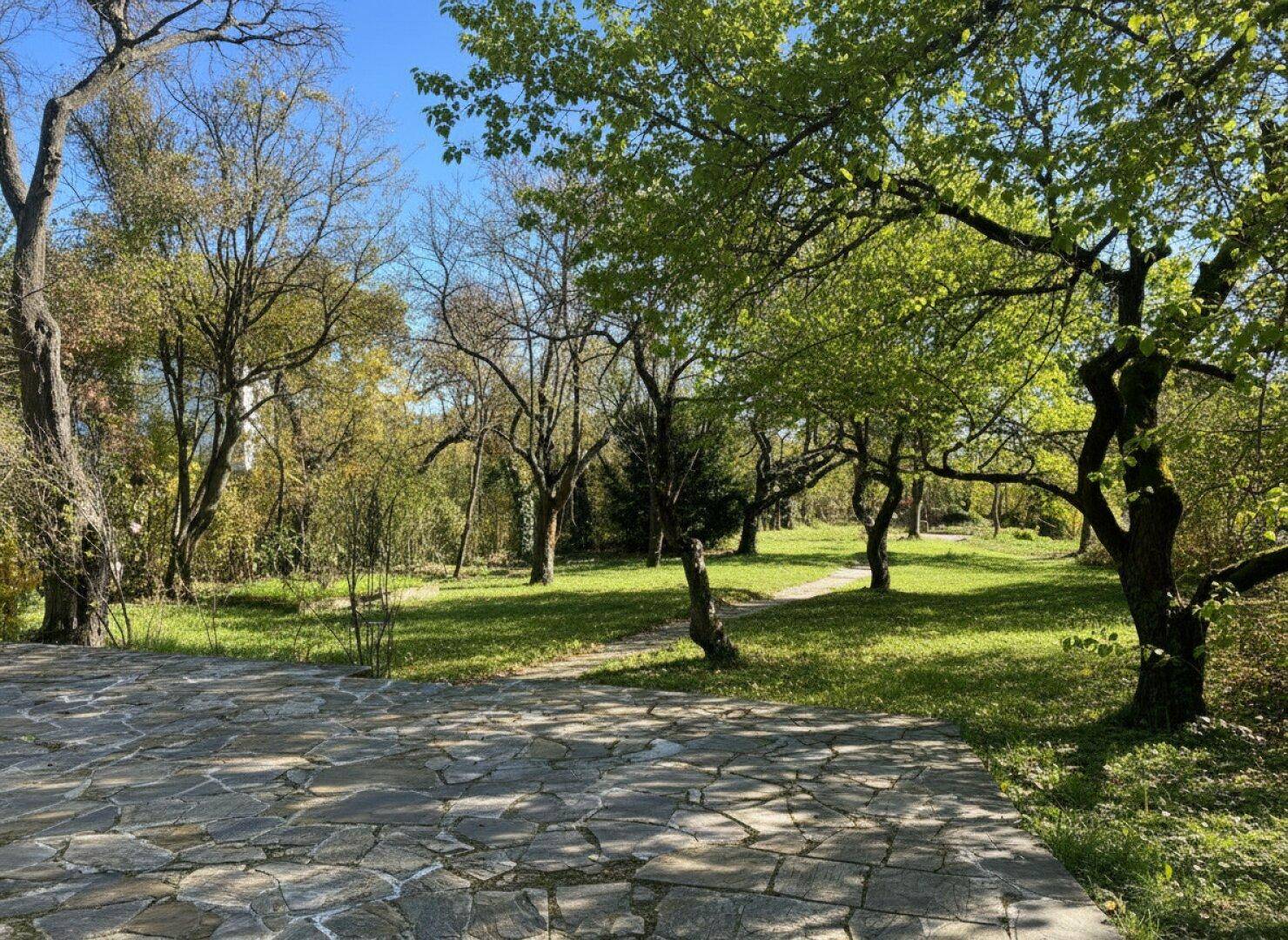 Großer Gartenbereich mit Steinplattenweg und vielen Bäumen, ideal für Erholung im Freien.