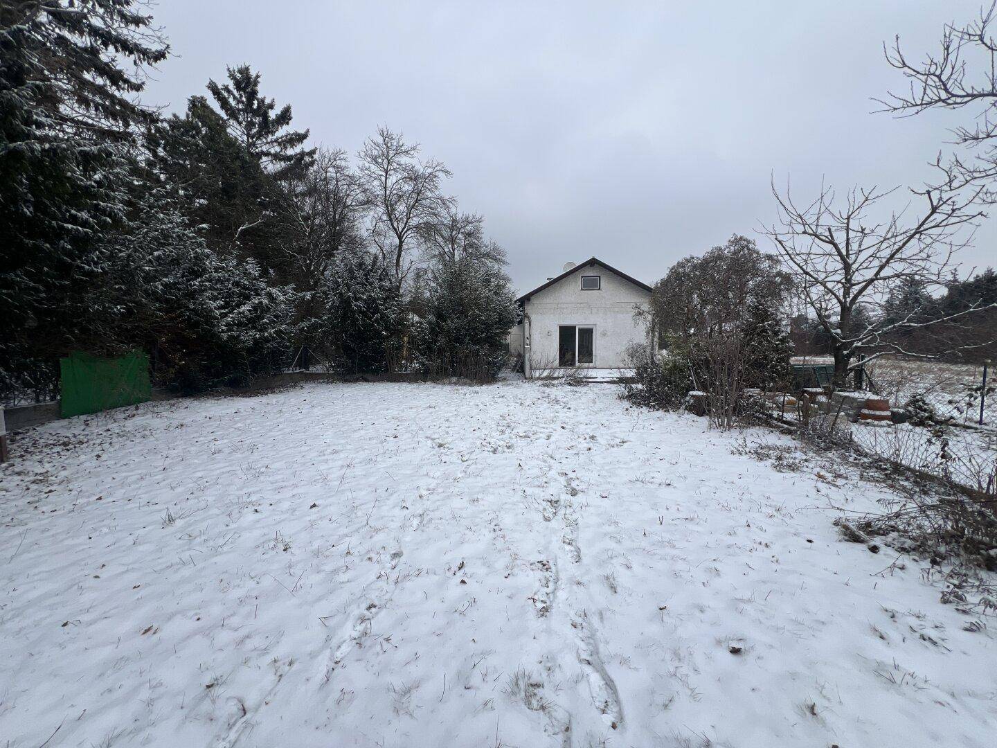 Schneebedeckte Gartenfläche mit Bäumen und einem Haus im Hintergrund an einem Wintertag.