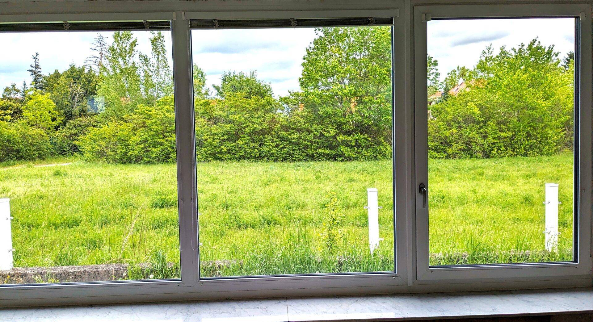 Große Fensterfront mit weitem Blick auf eine grüne Wiese und Bäume in der Ferne.
