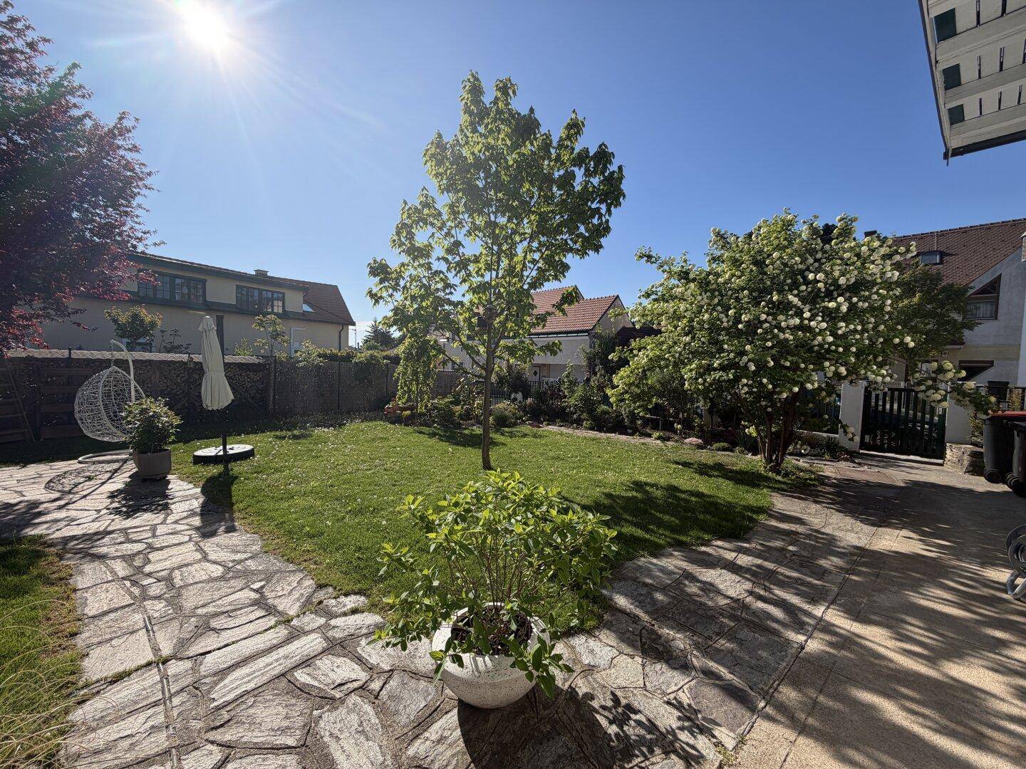 Sonniger Garten mit Steinplattenweg, grünem Rasen und verschiedenen Pflanzen in Töpfen.