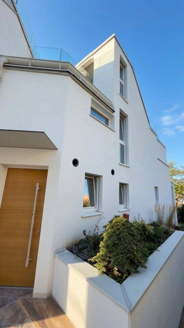 Eingangsbereich des modernen Hauses mit Holztür und gepflegter Bepflanzung.