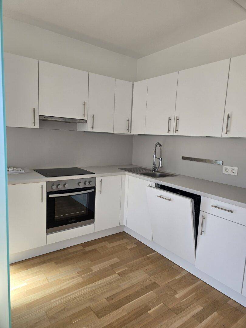 Funktionale Küche mit weißen Fronten, Induktionskochfeld, Backofen und integrierter Spülmaschine.