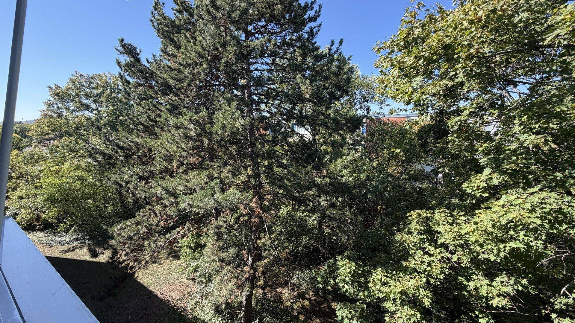 Slide 17