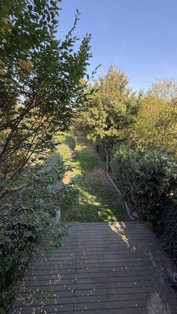 Langer, schmaler Gartenweg mit Rasenfläche, umgeben von dichten Hecken und Bäumen.